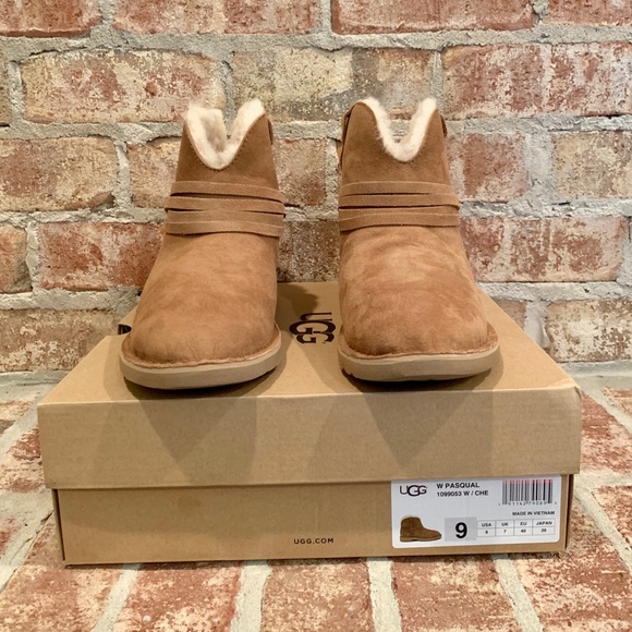 ugg pasqual boot chestnut